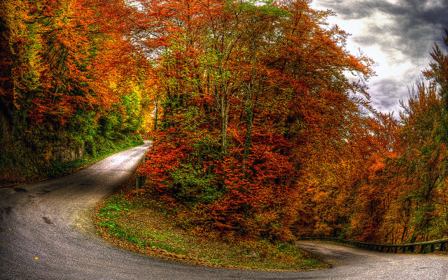 Winding road autumn leaves nature #2 free wallpaper - medium preview image