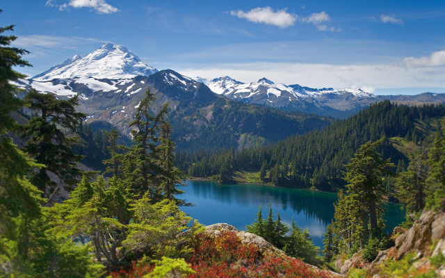 Mountain lake forest flower horizon free wallpaper - medium preview image