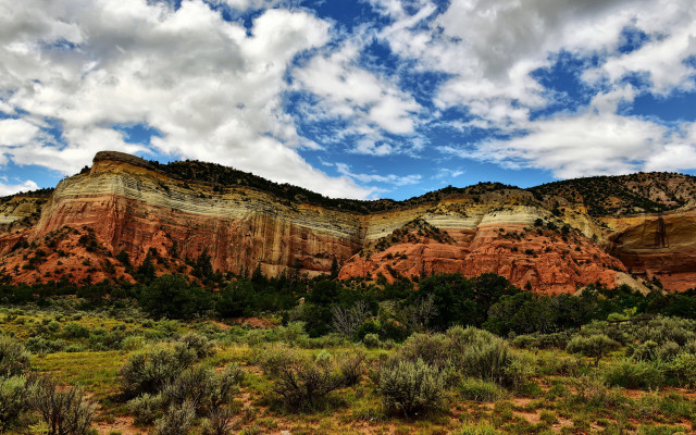 Mountain clouds trees bushes nature free wallpaper - medium preview image
