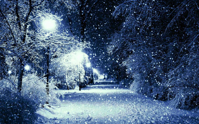 Snowy path trees streetlights night free wallpaper - medium preview image
