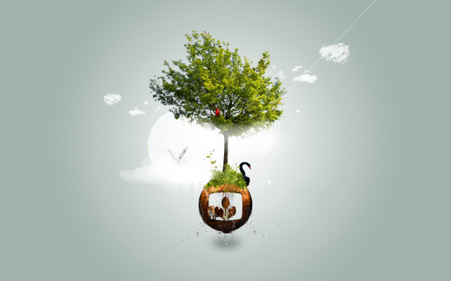 Tree couple bird sky sun free wallpaper - medium preview image