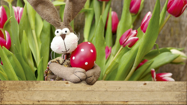 Stuffed rabbit red heart wooden free wallpaper - medium preview image