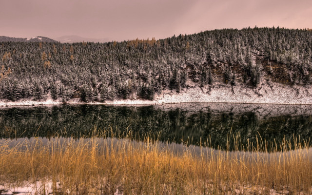 Lake tallgrass trees mountain snow free wallpaper - medium preview image