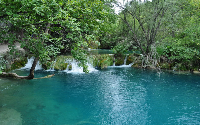 River waterfall tree people nature free wallpaper - medium preview image