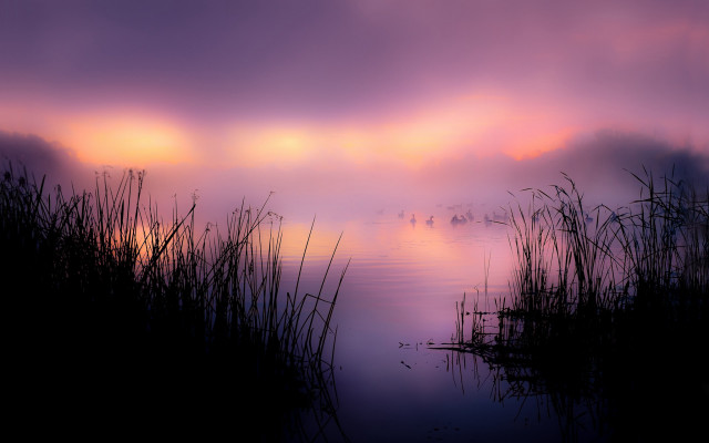 Sunset lake reeds mountain city free wallpaper - medium preview image