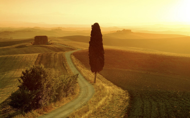 Lone tree dirtroad sunset mattepainting free wallpaper - medium preview image
