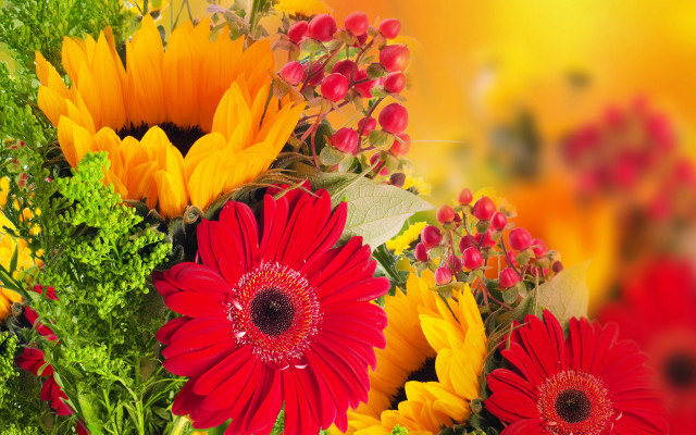 Flower bouquet yellow background red free wallpaper - medium preview image