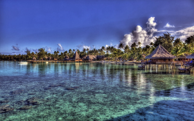 Tropical island hut palm trees free wallpaper - medium preview image