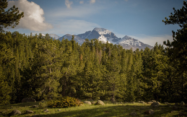 Mountain range trees rocks grassy free wallpaper - medium preview image