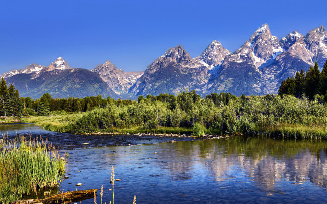 River forest hillside snow mountains free wallpaper - medium preview image