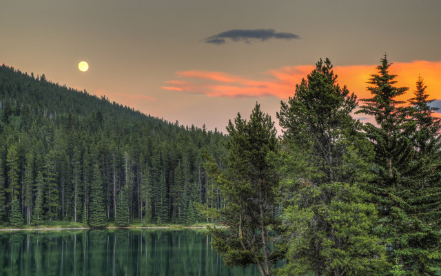 Full moon lake mountains trees free wallpaper - medium preview image