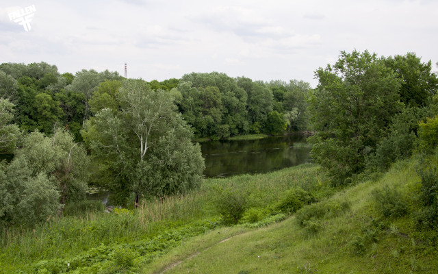 River forest greenery cloudy day free wallpaper - medium preview image