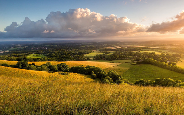 Grassy field valley clouds trees free wallpaper - medium preview image