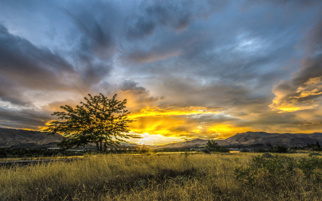 Tree sunset mountains clouds horizon free wallpaper - medium preview image