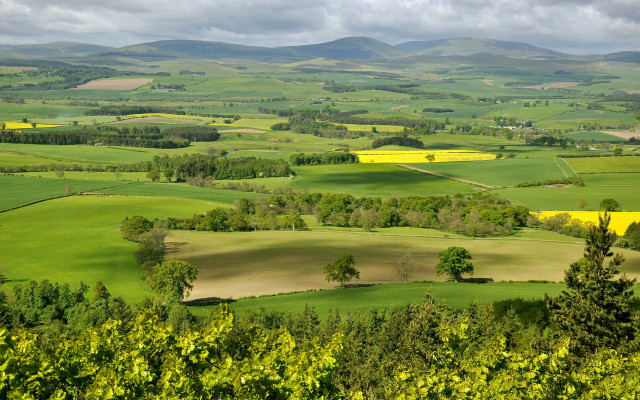Green field trees mountains clouds #2 free wallpaper - medium preview image