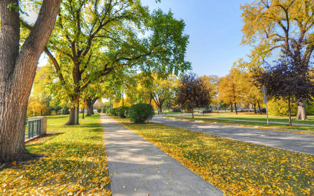 Park bench autumn leaves tiltshift free wallpaper - medium preview image