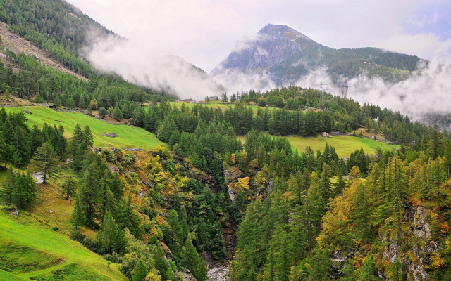 Valley river trees fog mountains free wallpaper - medium preview image