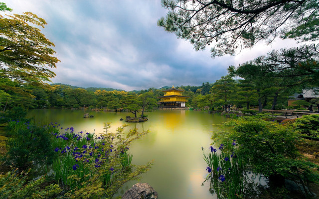 Pond trees flowers pagoda yellow free wallpaper - medium preview image