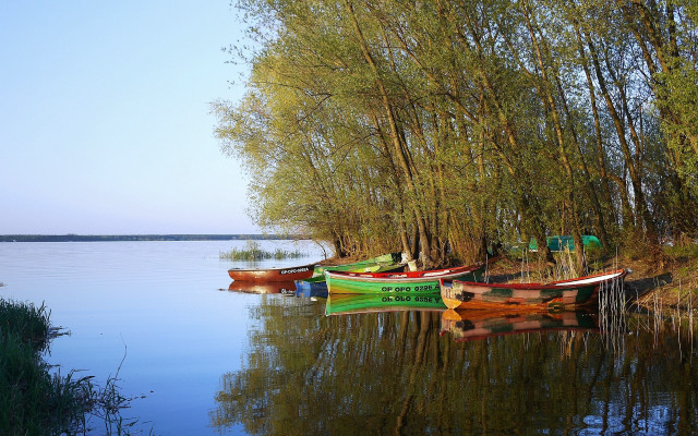 Canoes lake trees sky ecological free wallpaper - medium preview image