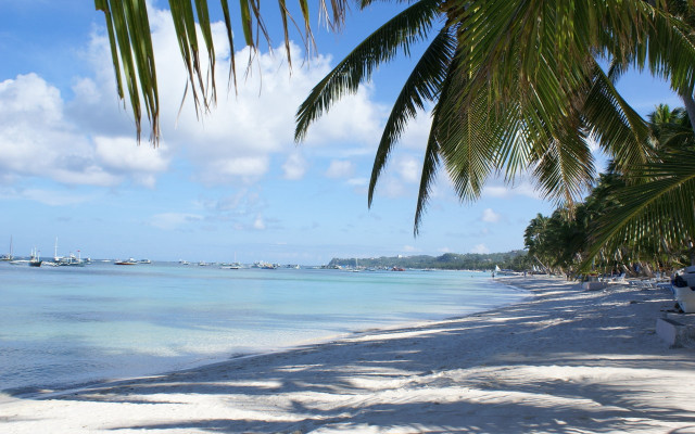 Beach boat palmtree water cloudy free wallpaper - medium preview image