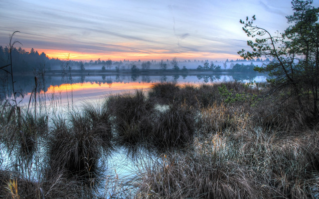 Lake sunset forest bushes clouds free wallpaper - medium preview image
