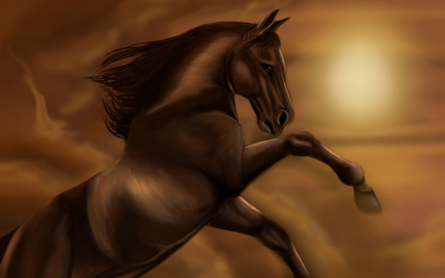 Horse air running front legs free wallpaper - medium preview image