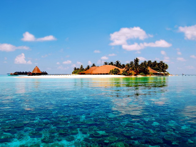 Tropical island beach palm trees free wallpaper - medium preview image