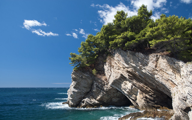 Rocky cliff tree ocean blue free wallpaper - medium preview image