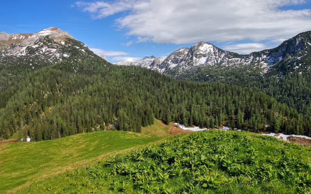 Grassy field mountain snow panorama free wallpaper - medium preview image