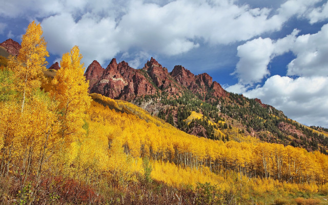 Mountain forest autumn leaves sunset free wallpaper - medium preview image