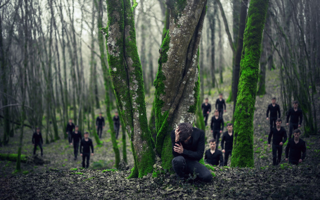 Mossy forest group surreal nature free wallpaper - medium preview image