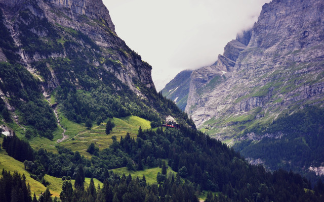 Mountain house forest trees nature free wallpaper - medium preview image