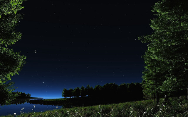 Night lake moon trees aurora free wallpaper - medium preview image