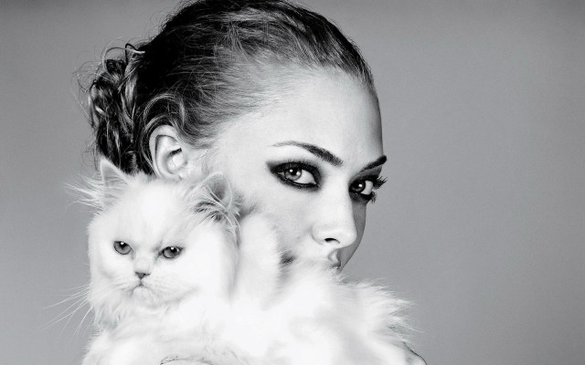 Woman cat animals black white free wallpaper - medium preview image