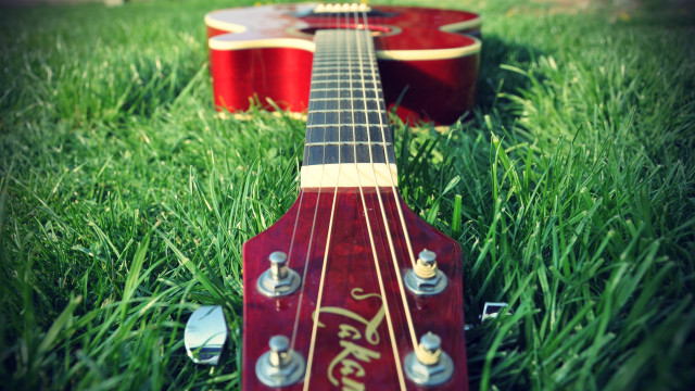 Red guitar green field folk #2 free wallpaper - medium preview image