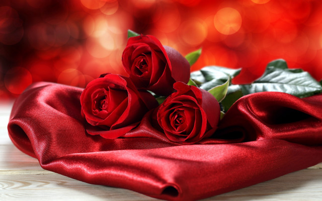 Red roses bouquet blurry bokeh free wallpaper - medium preview image