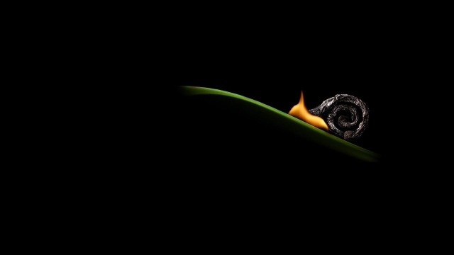Snail green leaf night surreal free wallpaper - medium preview image