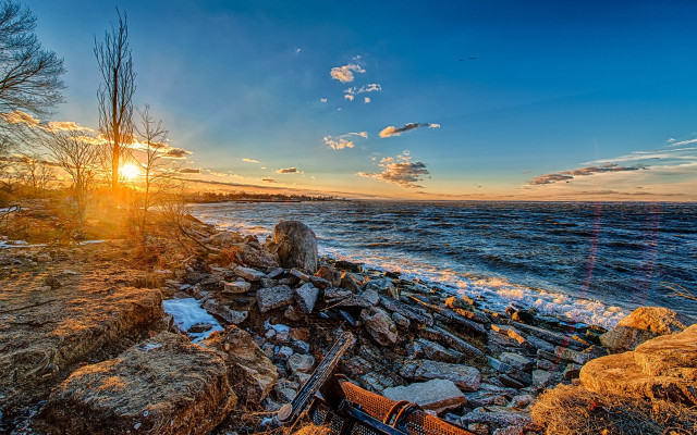 Sunset rocky beach guitar tree free wallpaper - medium preview image