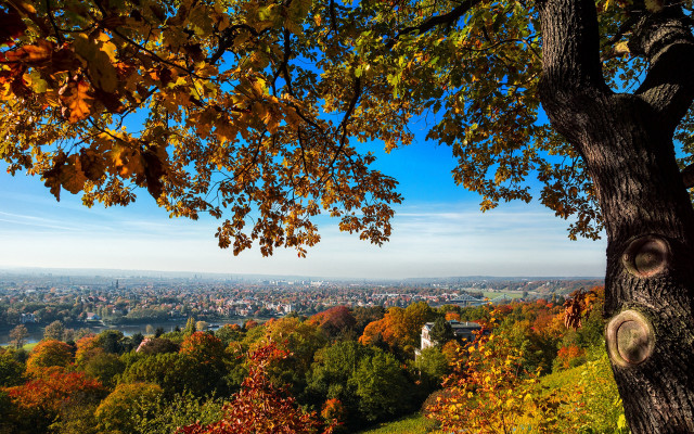 City hill autumn trees blue free wallpaper - medium preview image