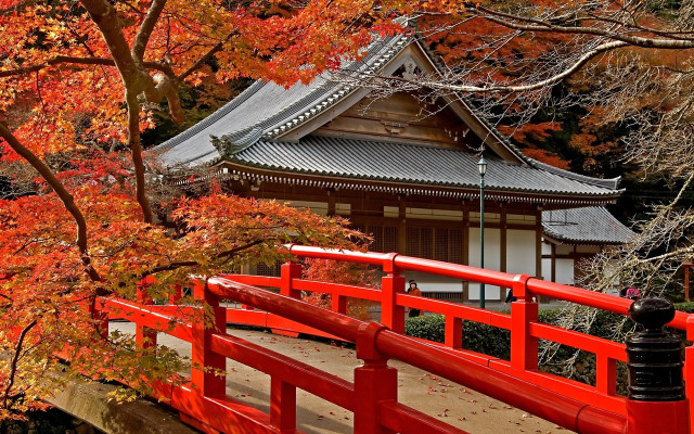 Red bridge fall leaves pagoda free wallpaper - medium preview image