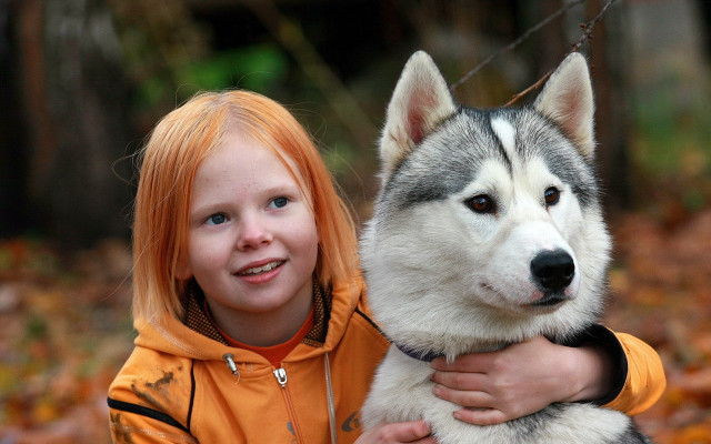 Girl husky woods blurry bokeh free wallpaper - medium preview image