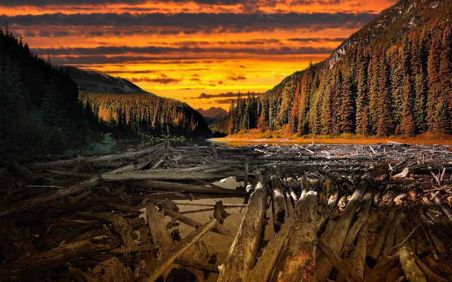 Sunset mountain lake fallen tree free wallpaper - medium preview image