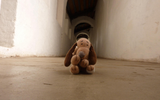 Stuffed animal liminal space cave free wallpaper - medium preview image