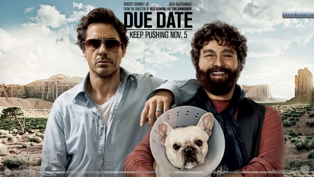 Two men holding dog cone free wallpaper - medium preview image