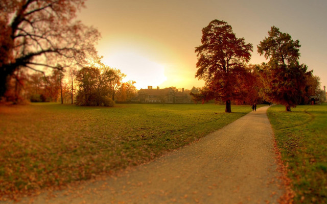Park path autumn leaves sunset free wallpaper - medium preview image