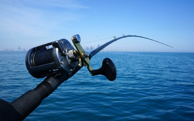 Fishing rod city water shallow free wallpaper - medium preview image