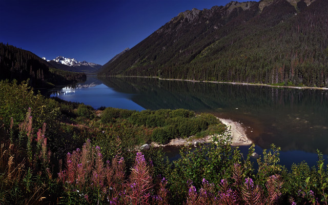 Lake mountains trees snow capped free wallpaper - medium preview image