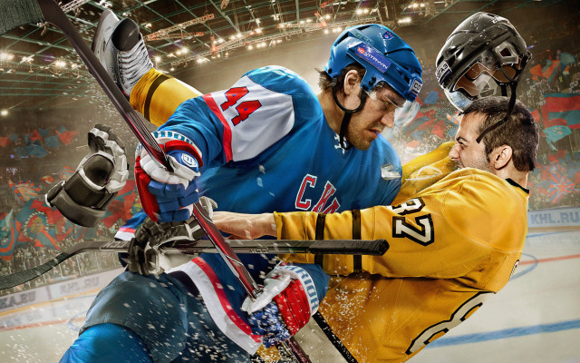 Icehockey game two men crowd free wallpaper - medium preview image