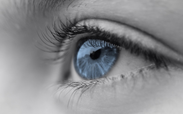 Blue eye long lashes black #5 free wallpaper - medium preview image
