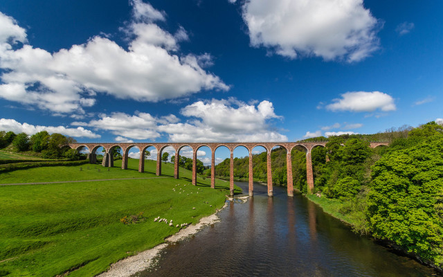 Bridge train river field trees free wallpaper - medium preview image